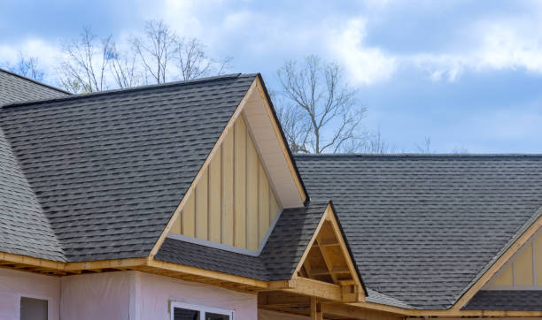 Best Roof Moss and Algae Removal  in Dewart, PA