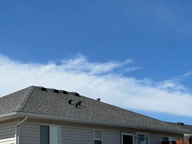 Waterproofing in Dewart, PA